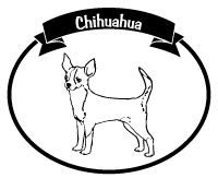 chihuahua.jpg chihuahua.jpg